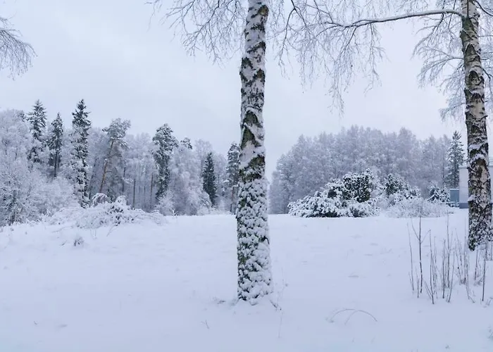 Gustavelund Apartment Tuusula